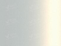 TANK 09F, 9F | PURE WHITE (RUI XUE BAI PEARL, БЕЛЫЙ ОЛЬХОН) 9