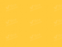 LADA (ВАЗ) 222 | PREMIER (ПРЕМЬЕР) 8