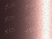 LADA (ВАЗ) 165 | BRUSNIKA (БРУСНИКА) 6