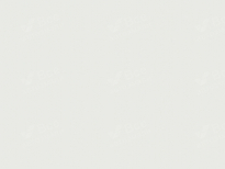 HYUNDAI PDW | DAZZLING (PURE WHITE, DAZZLING WHITE, ЧИСТЫЙ БЕЛЫЙ ЦВЕТ) 9