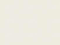 HYUNDAI UD, 1D | CLEAR WHITE () 8