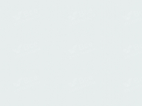 BELGEE A08 | WHITE (BLANCO FROST, 白色) 8