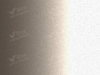 BELGEE K14 | BEIGE (浅金) 4