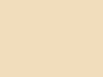 VOLKSWAGEN L115, 9102, 9110, 9191, 9531, LO7Q, P9, R115, V9, 1015, 1015-GL | ELFENBEIN (IVORY, HELLELFENBEIN, СЛОНОВАЯ КОСТЬ) 10