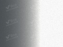 JAGUAR 1AC, 2130, 863, MEN | INDUS SILVER (RHODIUM SILVER, 印度河银) 11