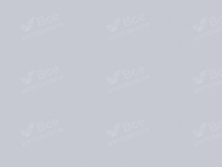 SKODA LF1K, 9172, F1K | FIALOVA LILAC (SYRINGA, LILAC VIOLETT) 4