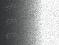 HAVAL BP | PITTSBURGH SILVER (匹兹堡银) 7