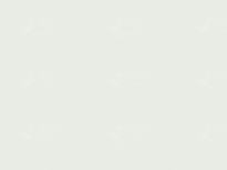 SOLLERS  | WHITE () 7