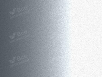 DEEPAL  | GONGGA SILVER (贡嘎银) 8