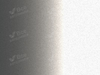 LADA (ВАЗ) 690 | СНЕЖНАЯ КОРОЛЕВА (SNEZNAYA KOROLEVA, SNOW QUEEN, SILVER, SILVER MET, SNOW QUEEN SILBER, SNEZNA KRALJICA, SILBER, SCHNEEKOENIGIN, SNOW QUEEN(ANEJNAYA)) 16