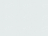 LADA (ВАЗ) 204 | АЙСБЕРГ (ICEBERG, AISBERG, ICEBERG SOLID BASECOAT) 6