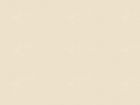 LADA (ВАЗ) 215 | САФАРИ (SAFARI/IVORY (ROSE) WHITE, IVORY WHITE, SAFARI, BEIGE, IVORY (ROSE) WHITE/LT SAFARI B) 7