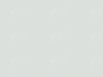 DAEWOO 10L, 10E, L90 | CASABLANCA WHITE (CASABLANCA WHITE BASECOAT, CASABLANCA WHITE BASE COAT) 6