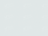 MERCEDES 147, 9147 | ARKTIKWEISS (DIAMANTWEISS, ARKTIK WEISS, ARCTIC WHITE, BLANCO ARTICO, BRANCO ARTICO, 白色) 6