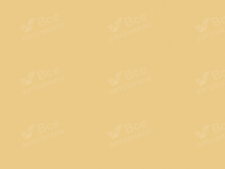 LADA (ВАЗ) 210 | ПРИМУЛА (PRIMULA (SAHARA) YELLOW, MANILLA CREAM, PRIMULA, MANILLA) 7