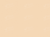 LADA (ВАЗ) 228 | ЧАЙНАЯ РОЗА (CHAINAYA ROZA, TEA ROSE, BEIGE, TEAROSE, HARVEST GOLD) 7