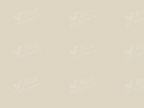 LADA (ВАЗ) 295 | СЛИВОЧНО БЕЛЫЙ (CREAMY WHITE, CREAM WHITE, SMETANOVO BELA, SLIVOCHNO-BELAYA) 7