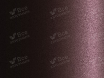 GENERAL MOTORS 918, 437 | DIKAYA SLIVA (ДИКАЯ СЛИВА) 7