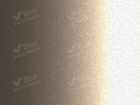 KIA C2S, C2 | CANYON SILVER () 7