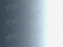 NISSAN RAF | KISHY BLUE (LIGHT BLUE) 7