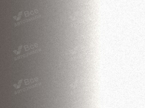 TOYOTA 4X1 | STEEL BLONDE (TITANIUM GLOW, 欧泊银) 8