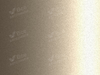 CHEVROLET EUROPE GCZ | LIGHT GOLD () 8