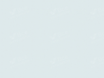 KIA WD | CASA WHITE (CARRARAWEISS, CASSA WHITE) 7