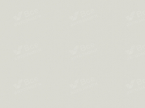 BMW 300 | ALPINWEISS III (ALPINE WHITE, ALPINWEISS, ALPINE WHITE III, 雪山白) 8