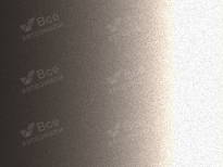 NISSAN C30 | CAFE LATTE (KARAMEL, 咖啡金) 10