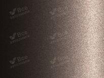 NISSAN CAN | BROWN (CHESTNUT BRONZE, PREMIUM BROWN) 9