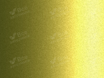 NISSAN EBA | GREENISH YELLOW (OLIVE GREEN, NITRO LIME, 极光黄) 9