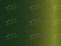 AUDI LX6R, V4, V4V4, X6R | SONOMAGRUEN (SONOMA GREEN, 索诺马绿) 8