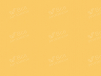 AUDI LY1H, 9N, 9N9N, Y1H | TUKANGELB (AMARILLO TUKAN, TUKAN YELLOW, TOUCAN YELLOW, TUKAN GELB) 9