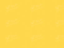 AUDI LY1G, Y1G, Y8, Y8Y8 | ZITRUSGELB (CITRUS YELLOW, EXCLUSIV (ZITRUS) GELB) 10