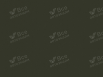 AUDI 2A7 | SCHWARZOLIV (PORSCHE) (BLACK OLIVE) 9