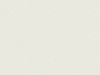 CITROEN 249, EWP, EWPA, EWPES, WPP0, WP, P0WP | BLANC BANQUISE (BANQUISE WIT, BIANCO BANQUISE, BLANCO BANQUISE, POLAR WHITE, POLARWEISS, BIANCA WHITE, 白色) 10