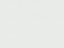 CHERY BK, WHI | WHITE (奇瑞白) 12