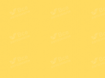 CHERY EF | LEMON YELLOW (AMARELO LEMON) 8