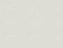 HYUNDAI RBC | CERAMIC WHITE (POLAR WHITE, 陶瓷白) 7