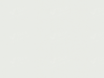 HYUNDAI PSW | POLAR WHITE () 8