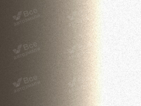 TOYOTA 4Q2 | BEIGE (ARENA METALICO, DESERT SAND GOLD SILVER, DESERT SAND GOLD-SILVER, 米色) 10