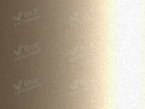 TOYOTA 4T8 | GOLD SANDY BEACH (BEIGE, SANDSTONE, 米色) 10