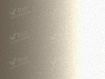 TOYOTA 4N3 | BEIGE (BEGE AMBAR, TITAN SILVER) 8