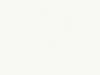 HAVAL 98 | WHITE (SIMPLE WHITE) 8