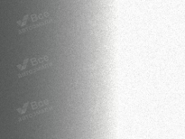 HAVAL BC | ELEGANT SILVER (SILVER, 雅致银) 8