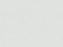 HYUNDAI NW | NOBLE WHITE () 7