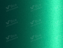 CHEVROLET EUROPE 39U | TROPIC GREEN () 6