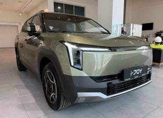 Образец цвета WILD GREEN на автомобиле - №1