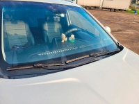 SSANGYONG WAH | PEARL WHITE LILY (白珍珠) 7