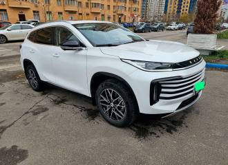 Образец цвета BW WHITE PEARL на автомобиле - №1